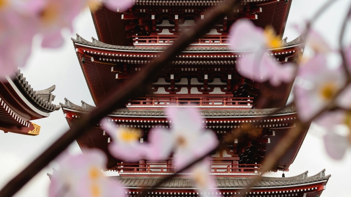 🇯🇵 Polite Pathways: Do’s and Don’ts When Visiting Japan